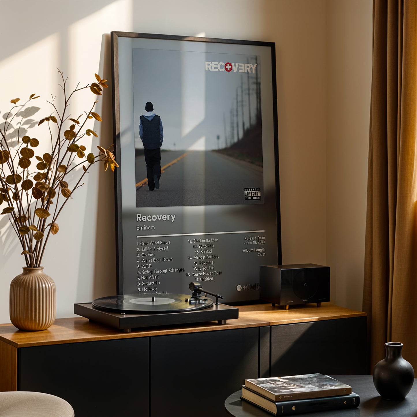 Eminem 'Recovery' Album Poster