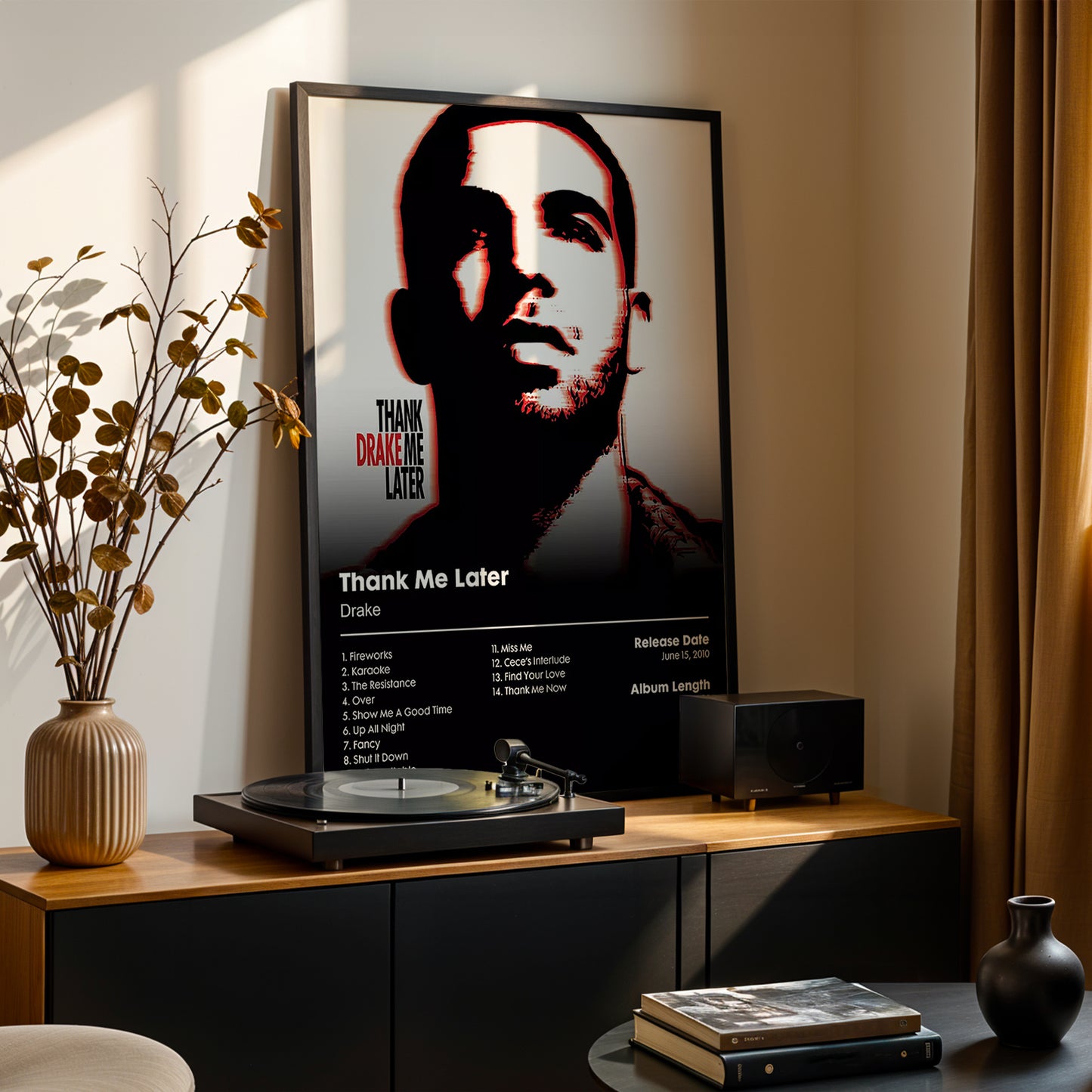 Drake 'Thank Me Later' Album Poster