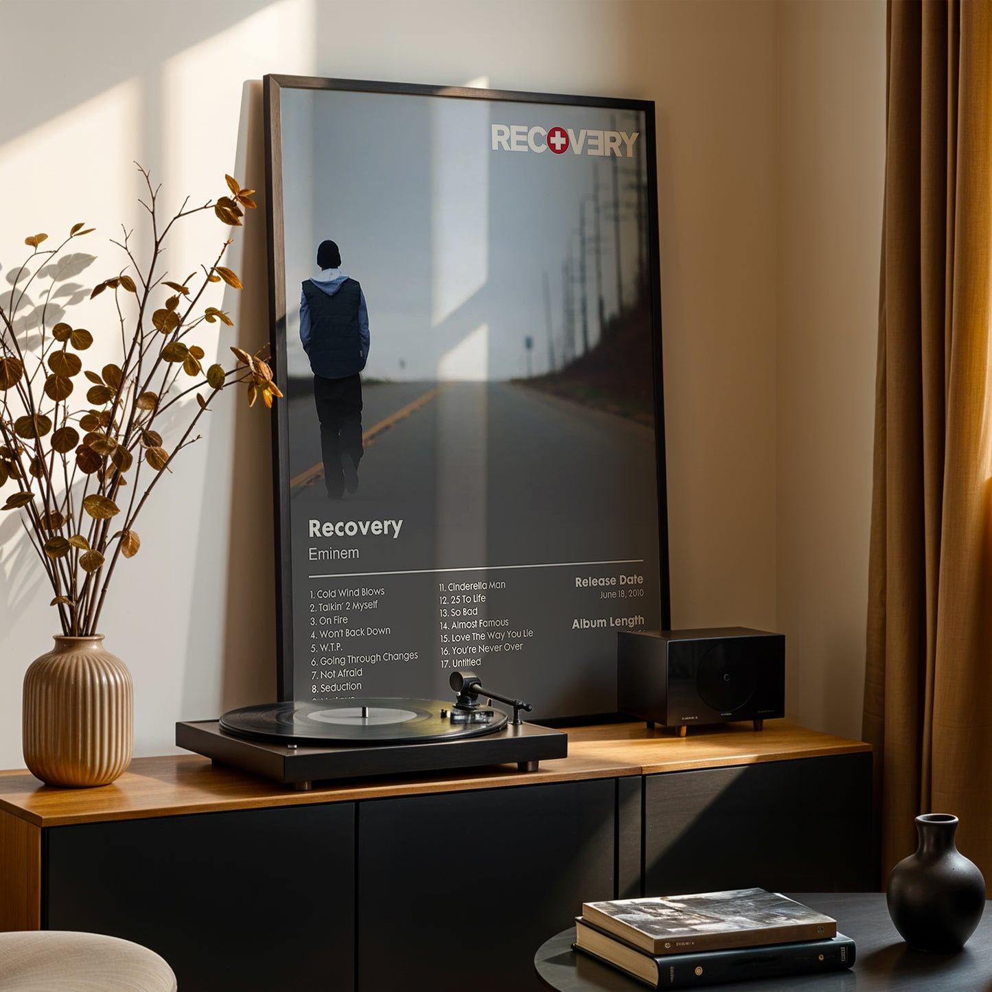 Eminem 'Recovery' Album Poster